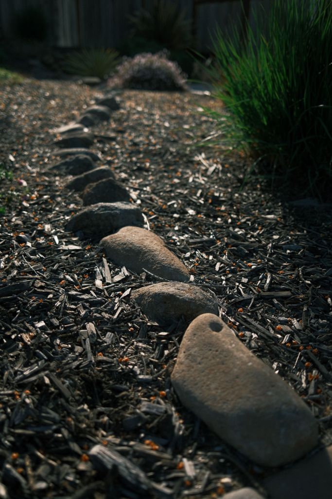 A trail of stones