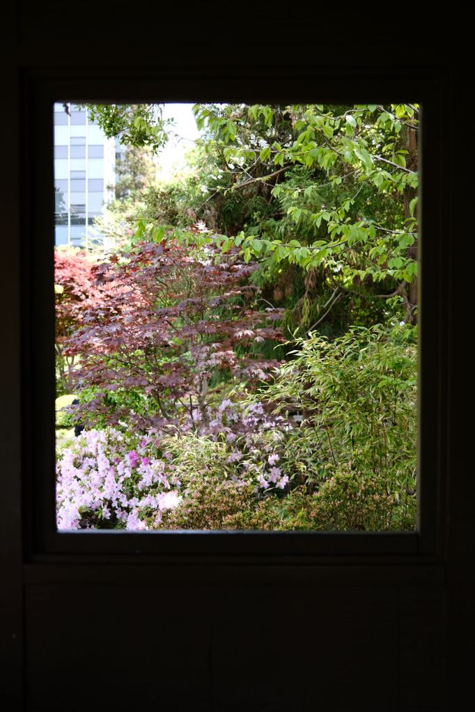Nature through a window