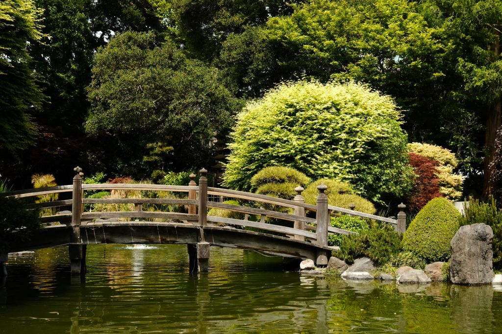 Bridge over water in Japanese garden