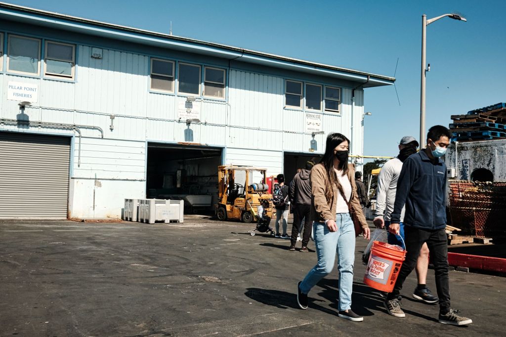 A couple walking with purchased fish in a bucket