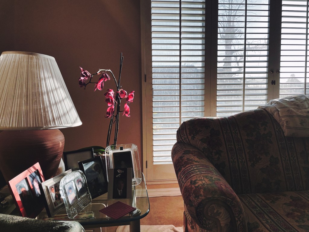 Orchid in the morning