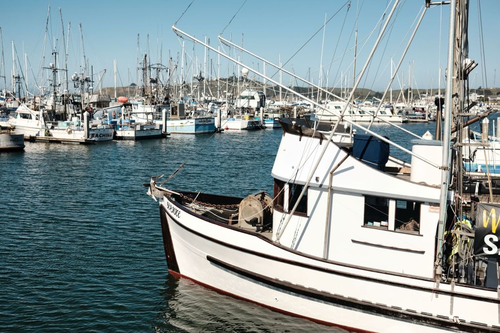 Boats at a pier