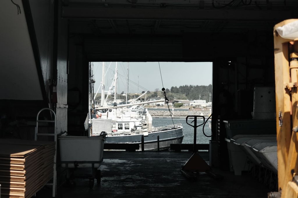Entryway to docked boats