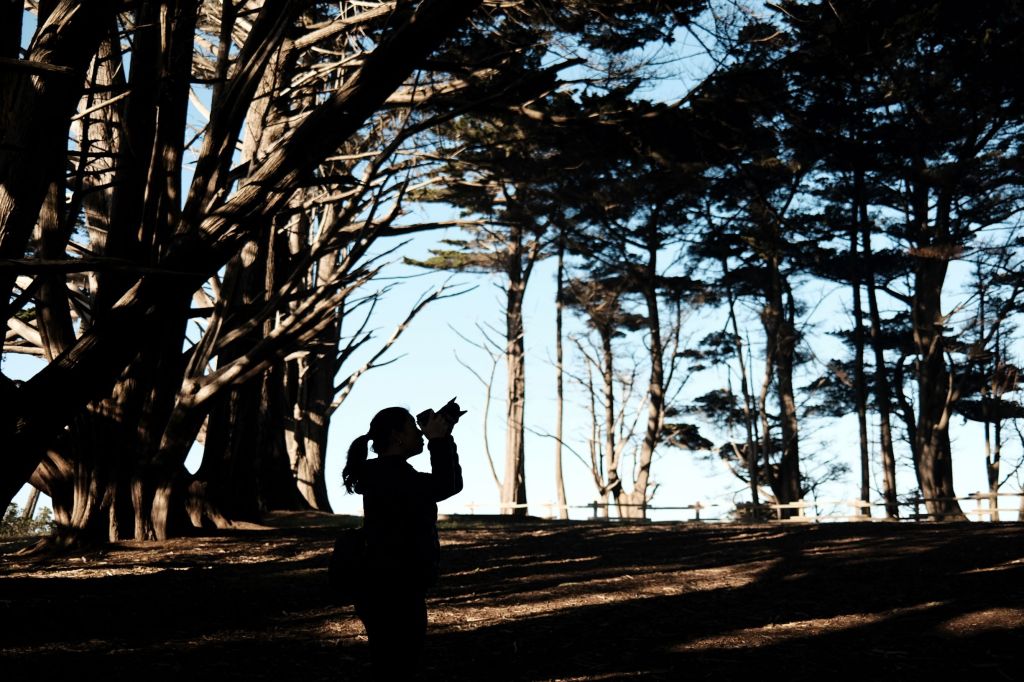Silhouette of a lady taking a photo