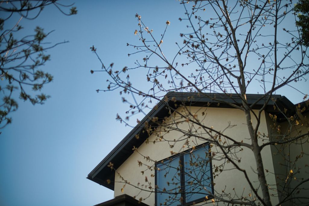 Tree in front of a house