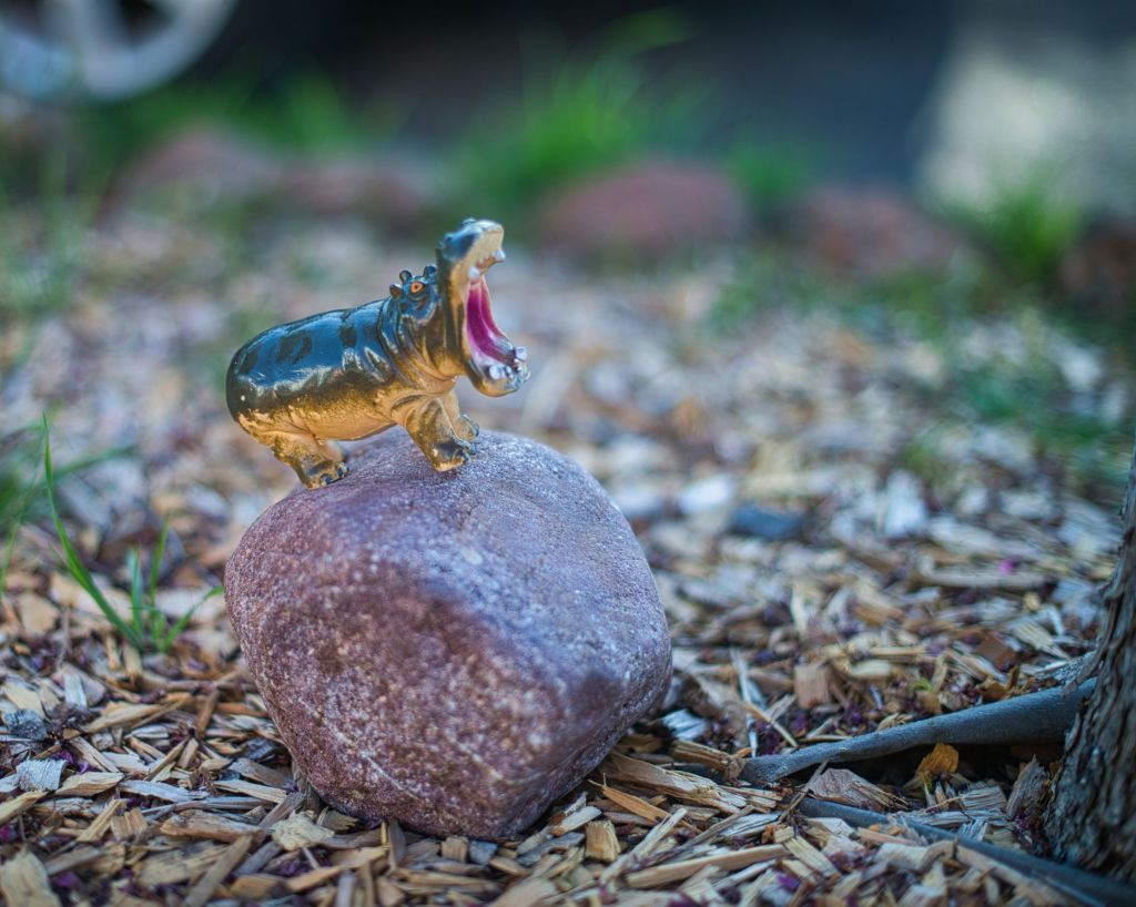 Hippopotamus figurine on a rock